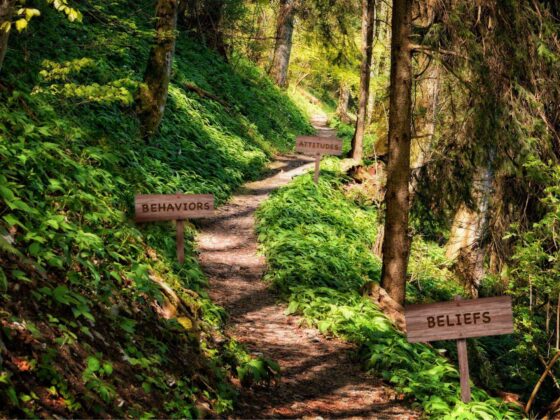 Woodland trail with signposts for beliefs, behaviors, and attitudes.