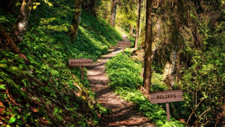 Woodland trail with signposts for beliefs, behaviors, and attitudes.