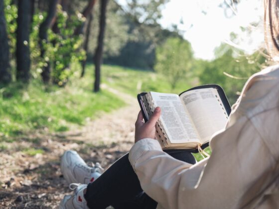 Looking over the shoulder of a person reading the Bible, with a path through open woods in the distance.