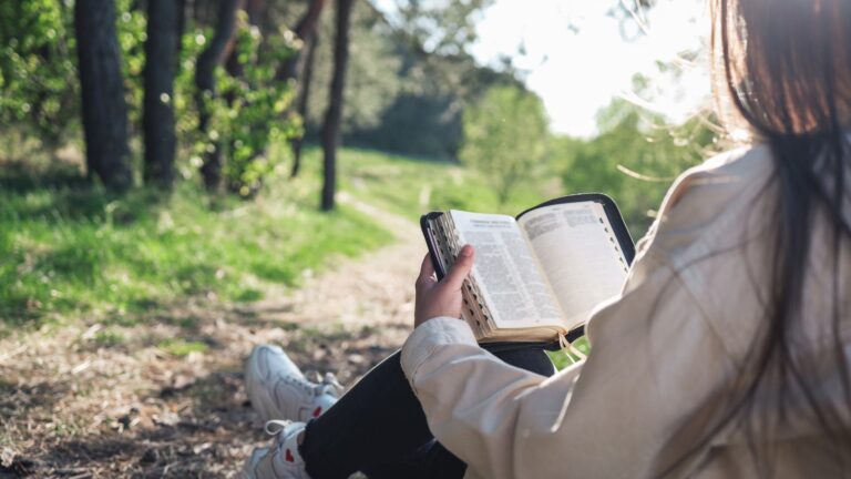 Looking over the shoulder of a person reading the Bible, with a path through open woods in the distance.