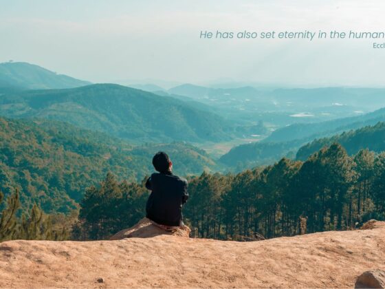 One person seated at the edge of an overlook with a view over a misty tree-filled valley.