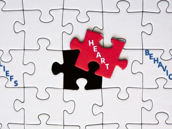 White puzzle pieces, with the center one in red, labeled "heart" and to other white pieces labeled "beliefs" and "behaviors."